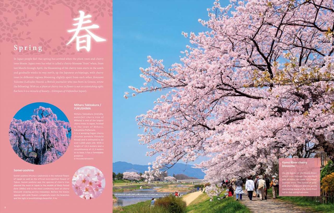 ブランド登録なし 美しい日本 四季の美景と和のこころ／日本の美研究会(編者)